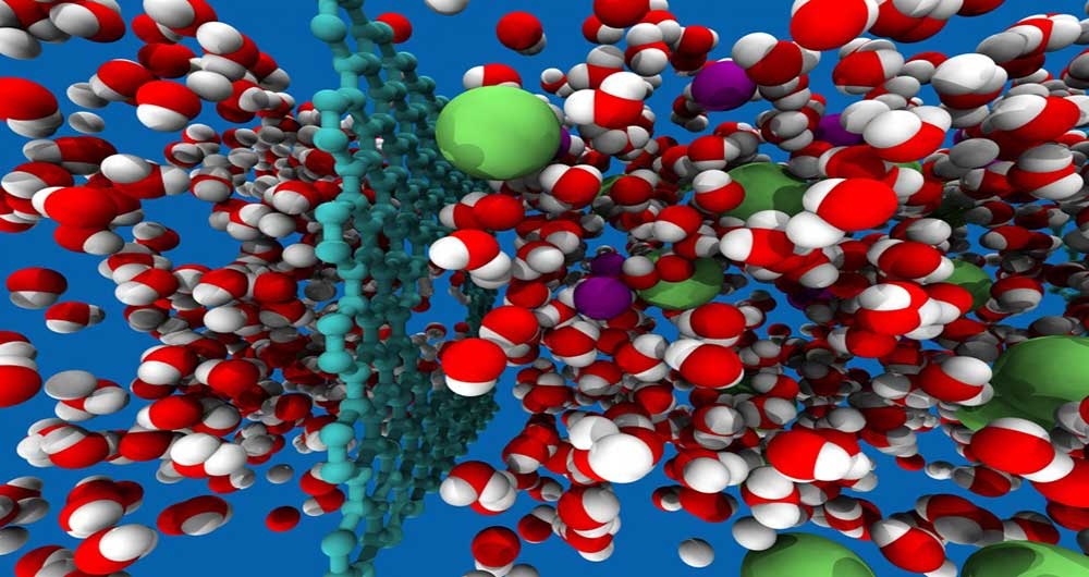 Ricerca. Come visualizzare in 3D nanoparticelle di grafene nelle cellule