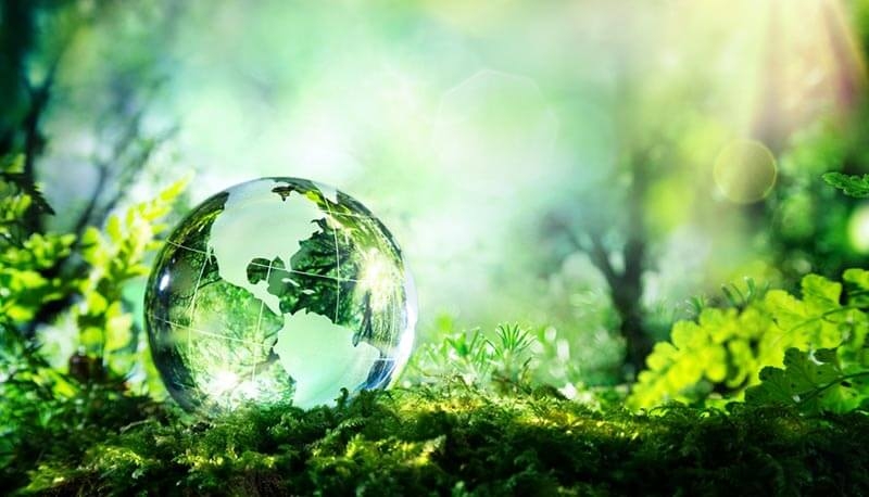 “Meta Boost: Guide to Green”. Un programma internazionale per aiutare le PMI a contrastare i cambiamenti climatici