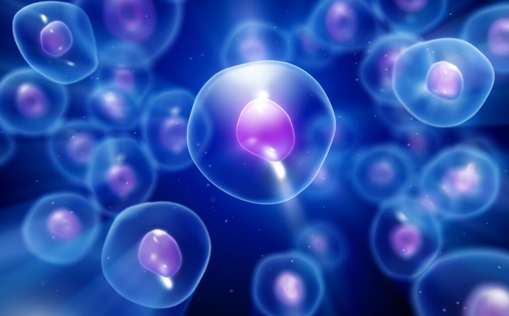 L’Università di Bologna realizza un biosensore a misura di cellula