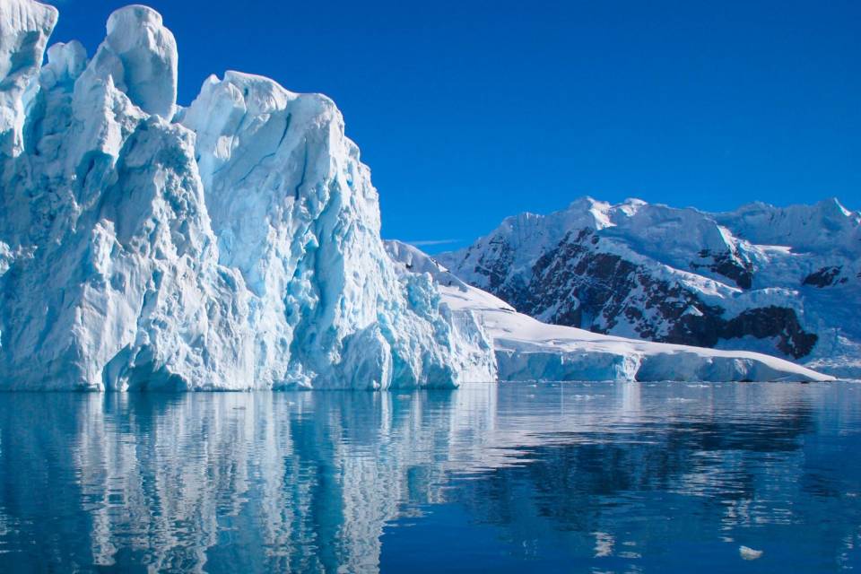 Antartide, un antico ecosistema nascosto all’interno di un ghiacciaio