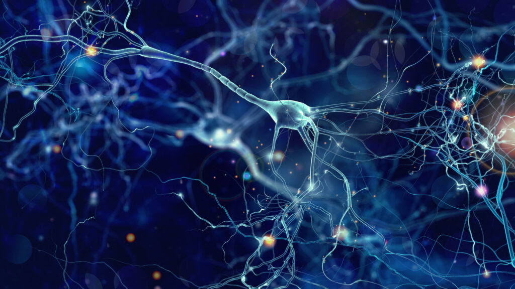 Intelligenza Artificiale : uno studio Italiano rivela le potenzialità delle reti neurali profonde