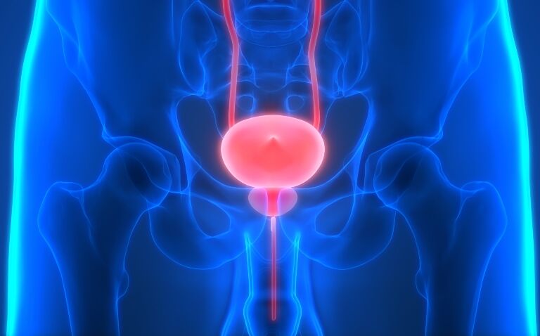 Cancro alla prostata. Ricerca rivela il meccanismo cellulare 