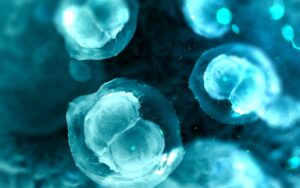 Cellule di lievito ingegnerizzate come microlenti biologiche ottiche