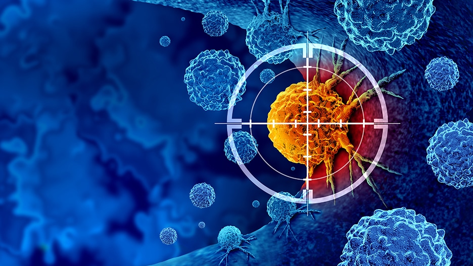 Torna all’Università di Chieti l’“Immunology Day” 2025: eccellenza scientifica e giovani protagonisti del futuro