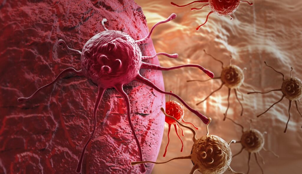 Carcinomi: tipologie, patologie e le terapie del futuro