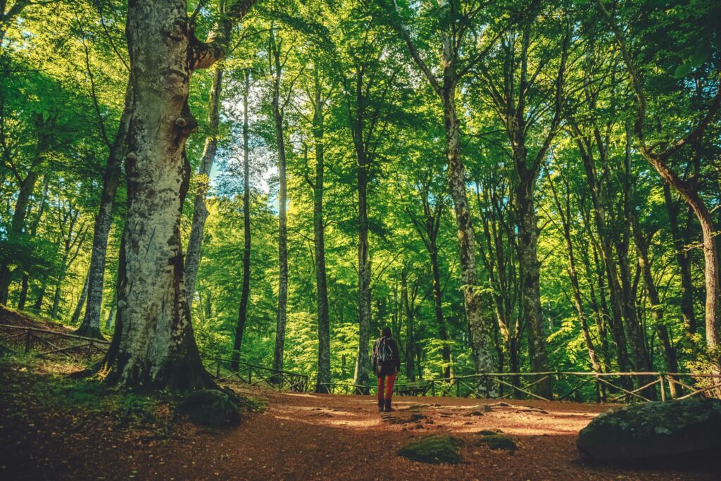 Università della Tuscia. Torna il trekking scientifico