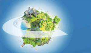One Health: un approccio integrato per la salute di uomini, animali e ambiente