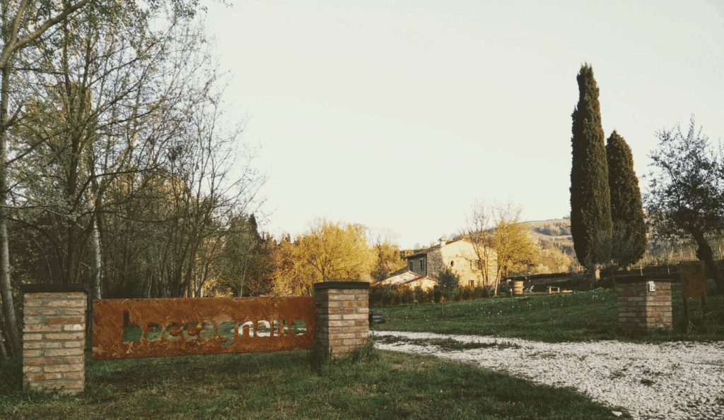 Traccia. Scrivere il viaggio, assaporare il racconto