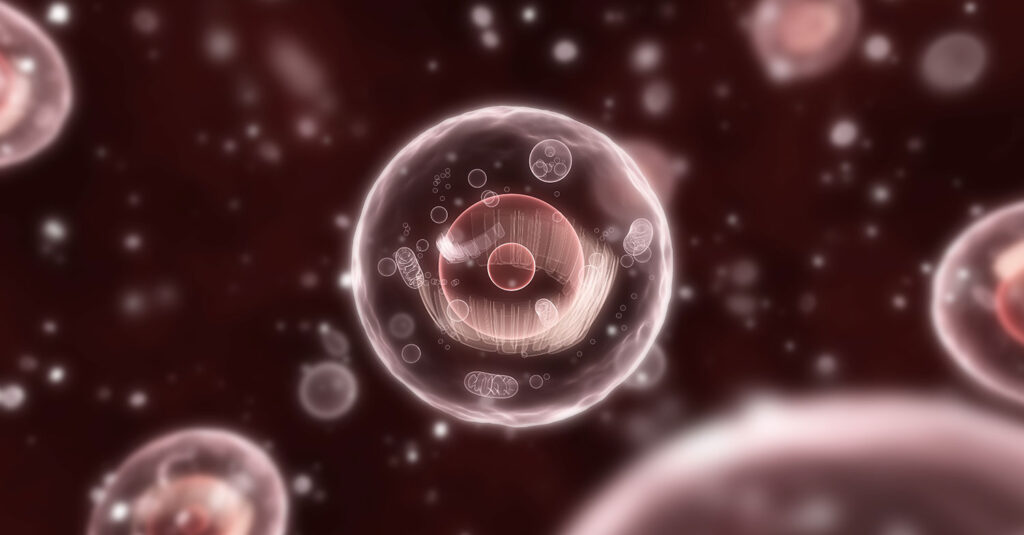 Malattie rare: nuove prospettive terapeutiche grazie all’analisi 3D dei lisosomi