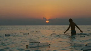 20 RomaFilmFest. “Blue print”, in anteprima mondiale un episodio della serie Choose Earth