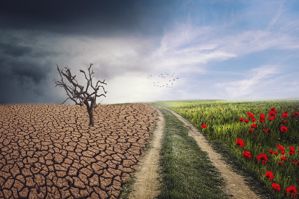 Ambiente e cambiamento climatico: le proposte WWF per città più resilienti