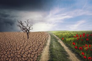 Ambiente e cambiamento climatico: le proposte WWF per città più resilienti