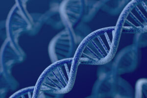 Piccoli anelli nel genoma: la sorprendente scoperta che cambia la visione della mitosi