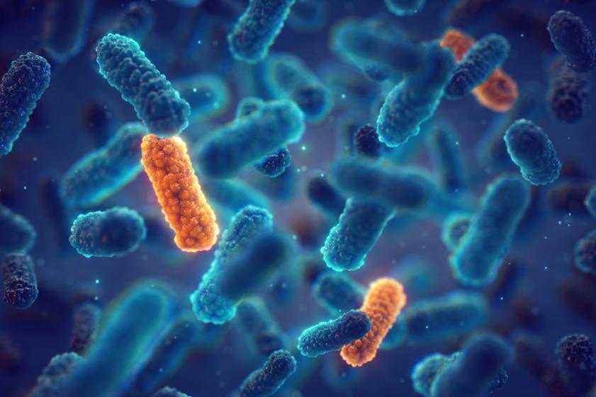 Antimicrobico-resistenza: il richiamo della FIMMG alla responsabilità collettiva