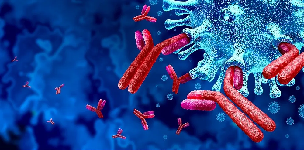 Scoperti anticorpi monoclonali contro il superbatterio Klebsiella