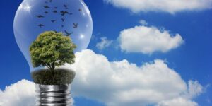 GSE: tutto quello che bisogna sapere su obblighi, normativa e opportunità