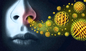 Allergie: una biotecnologia “invisibile” le rende innocue