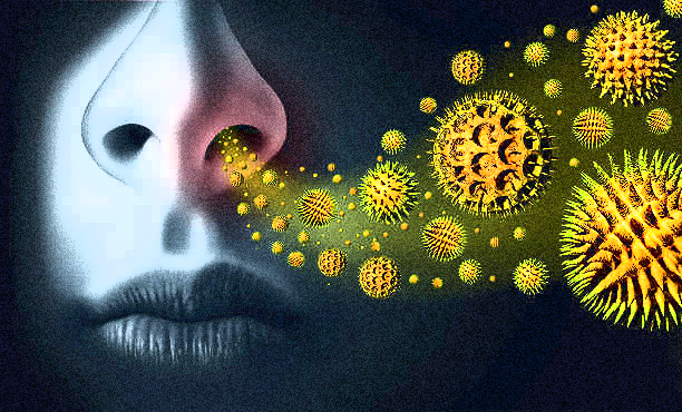 Allergie: una biotecnologia “invisibile” le rende innocue