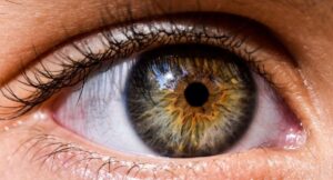 Il microchip che fa tornare a leggere