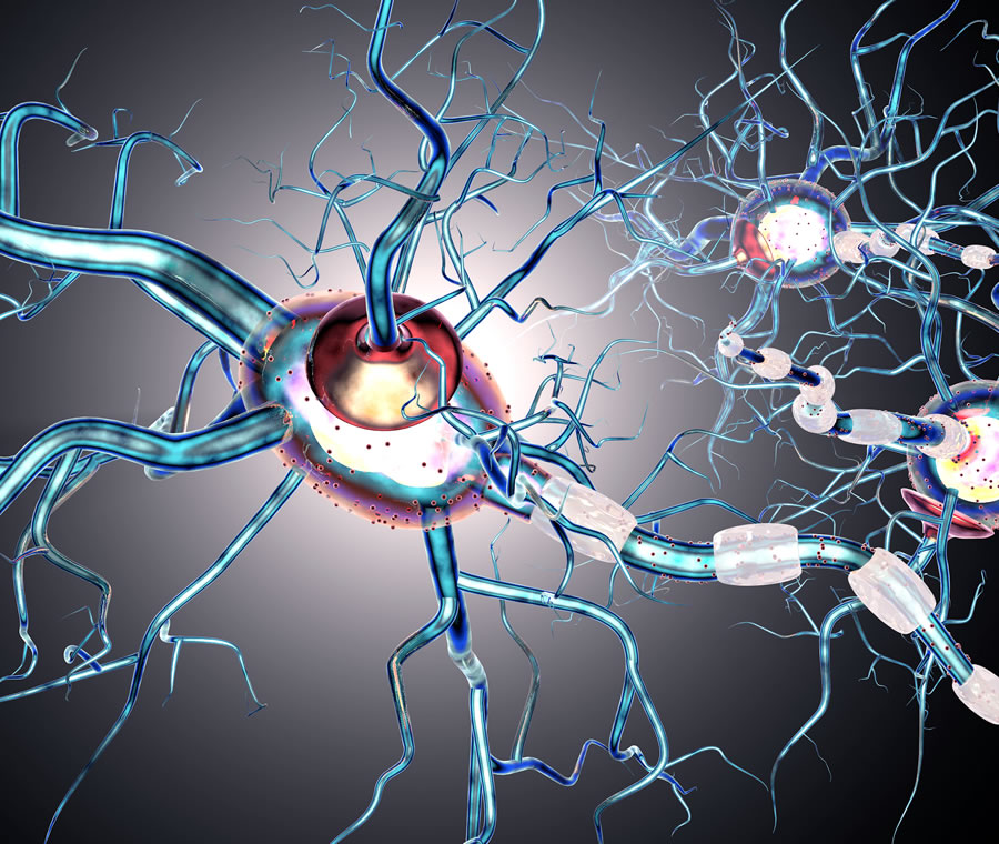 Scoperto il meccanismo cerebrale che attiva la sclerosi multipla