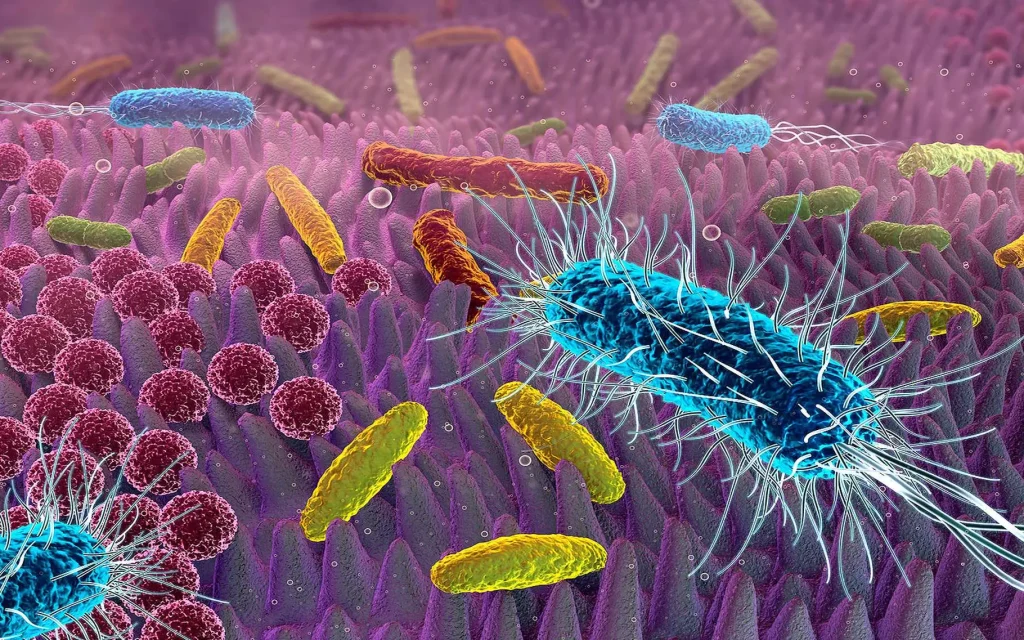 Nanomotion sensing: una nuova frontiera per contrastare le infezioni batteriche