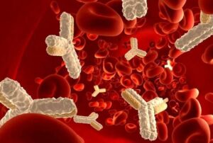 Nuova somministrazione di anticorpi: terapie più semplici