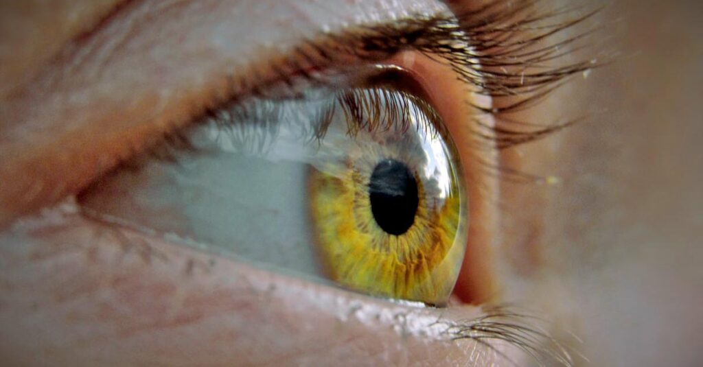 Maculopatia secca: nuove speranze da raggi infrarossi e impulsi elettrici