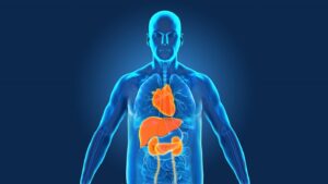 Probiotici di nuova generazione contro le malattie metaboliche