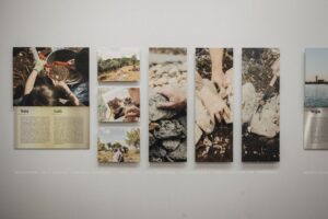 Palazzo Braschi. “Beyond Heritage. Un percorso fotografico tra arte e scienza” 