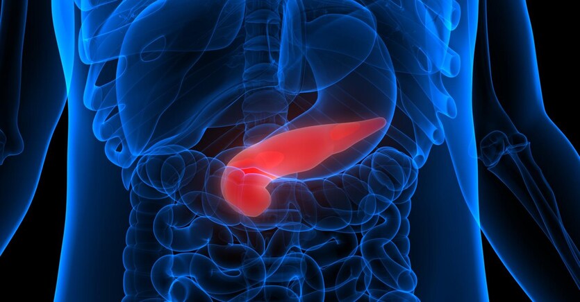 Tumore pancreas: scoperto il meccanismo resistenza alle terapie