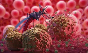 Nuovo gene protegge dalla malaria