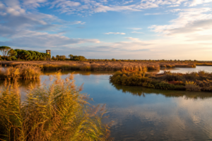 UNESCO, in Veneto il Summit mondiale “Man and the Biosphere”