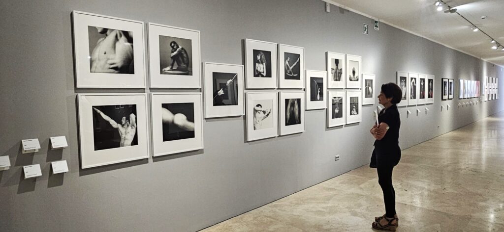 Ara Pacis. “Robert Mapplethorpe le Forme della Bellezza”: scolpire con la fotografia