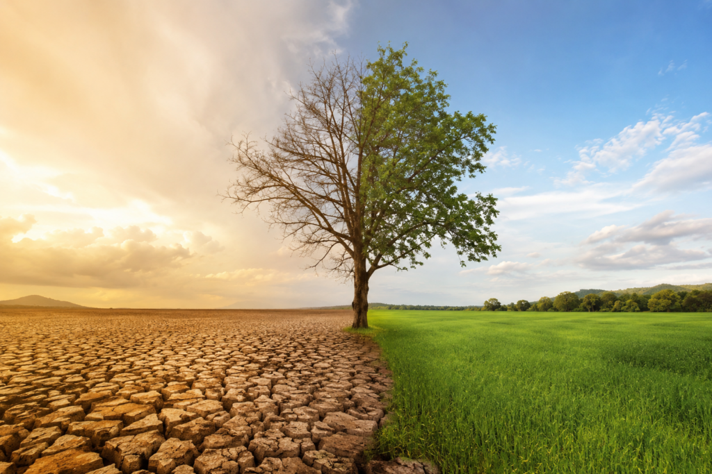 Riscaldamento globale: dal 2013 il clima corre più veloce,