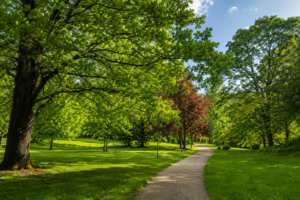 Verde urbano e chimica ambientale