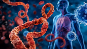 Ebola può tornare anche dopo la guarigione? La scoperta che sta cambiando la lotta contro il virus