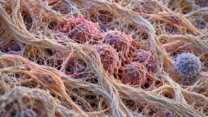 Tumori e meccanobiologia: come superare le barriere alle cure