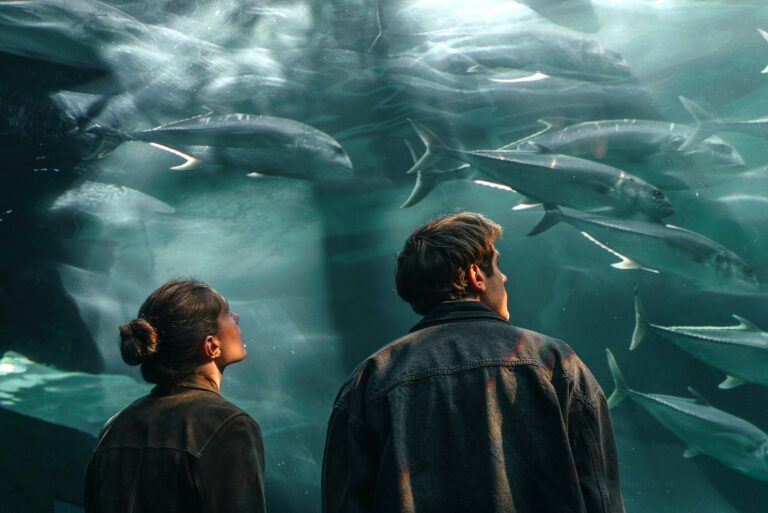 XXV edizione del RIFF – Rome Independent Film Festival. 27 – 4 dicembre